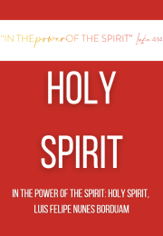 IN THE POWER OF THE SPIRIT: HOLY SPIRIT,  Luis Felipe Nunes Borduam
