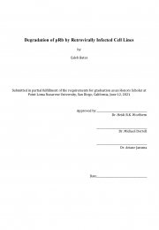 Degradation of pRb by Retrovirally Infected Cell Lines