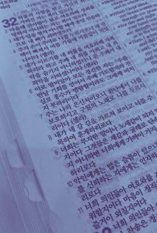 Korean Bible Blue