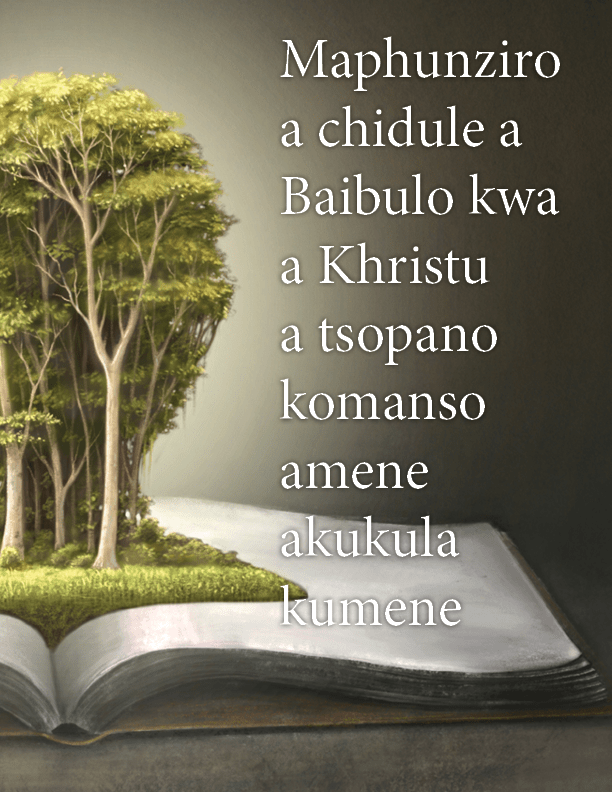 CHECHEWA COVER