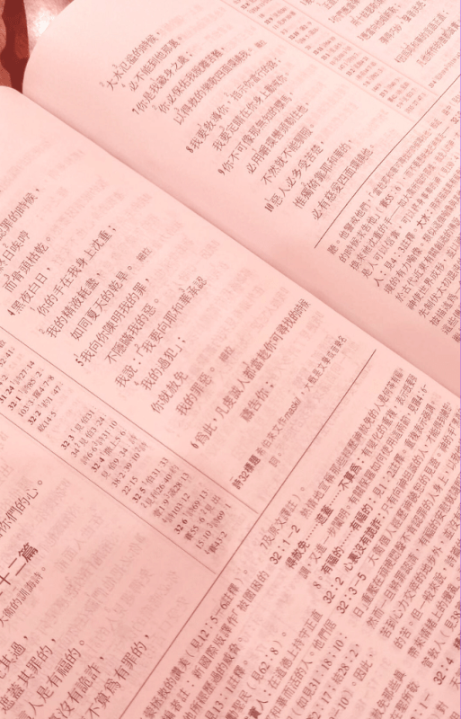 Chinese Bible Red