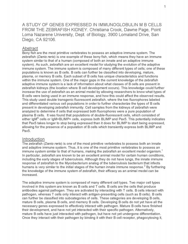 A Study of Genes Expressed in Immunoglobulin M B Cells